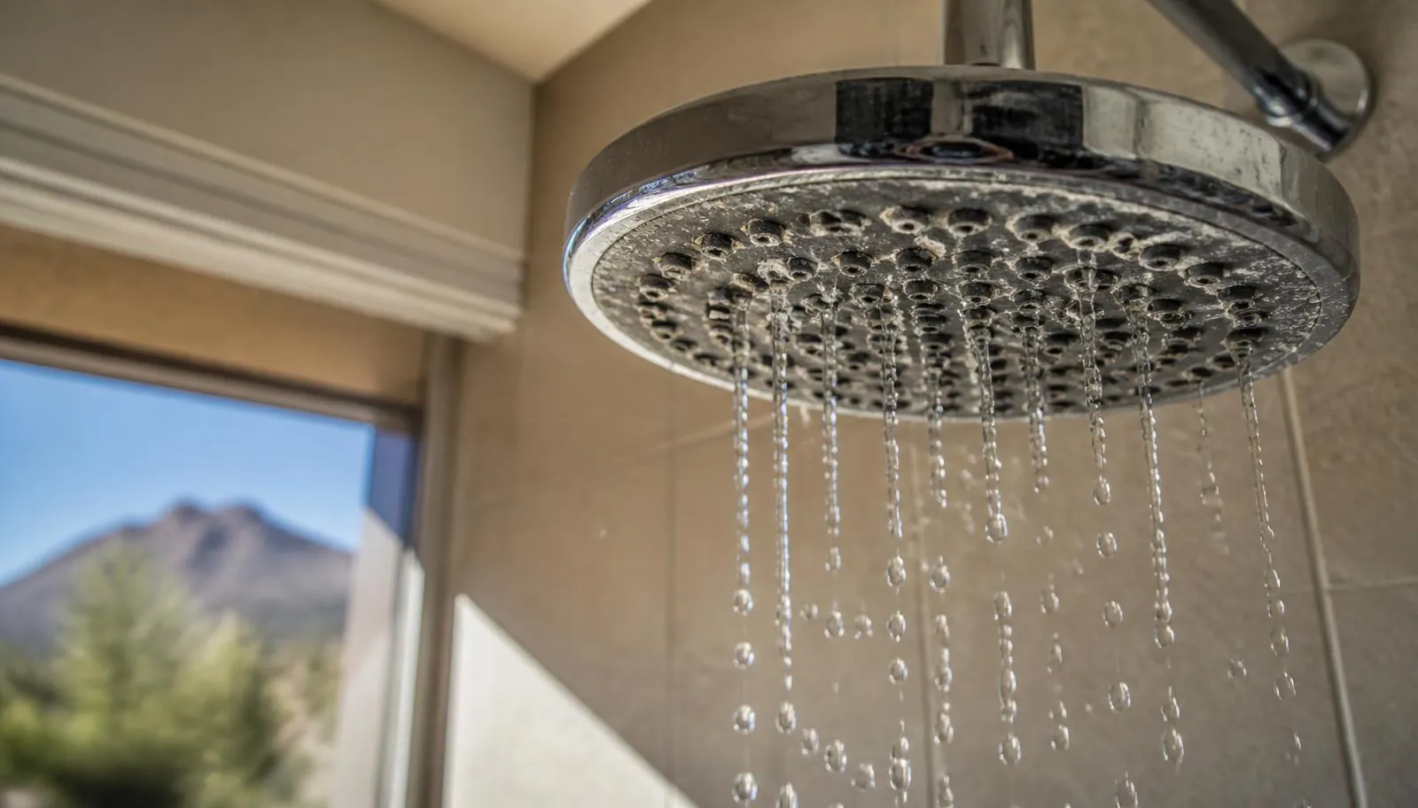 Chrome showerhead crusted with white hard-water scale trickling weakly in a Phoenix bathroom
